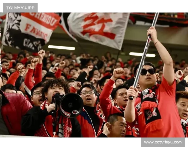 成都蓉城因球迷歧视言行被罚款50万元,部分看台遭处罚